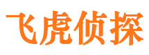 武陵源市婚外情调查